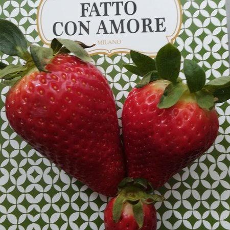 Gelato Fatto Con Amore